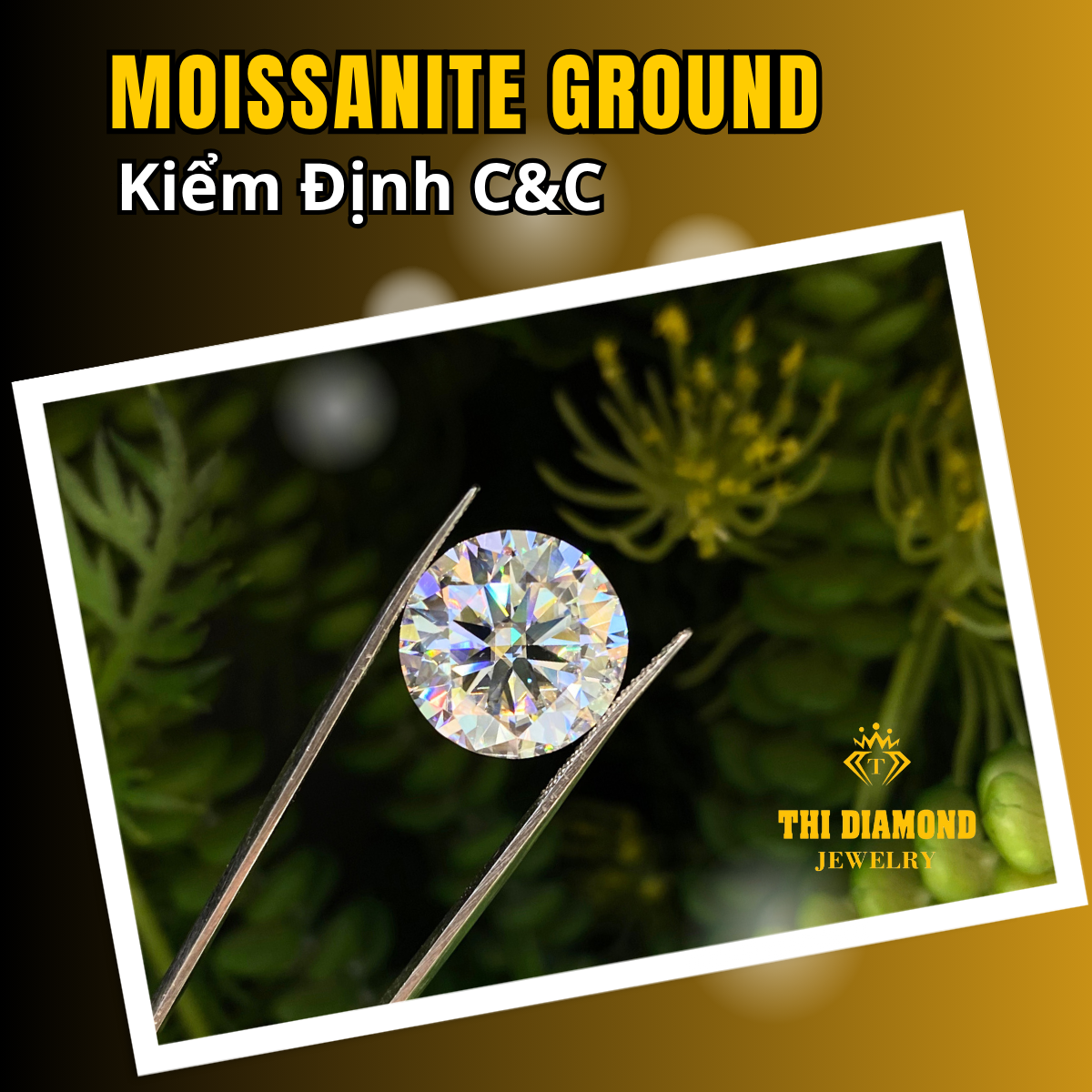 Moissanite Ground (3)