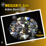 Moissanite Giác Cắt OVAL | Kiểm Định Quốc Tế C&C